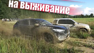 НЕВЕРОЯТНЫЙ РЕЗУЛЬТАТ! Стероидные паркетники в ПАШНЕ! Toyota, Duster, Haval, Suzuki, Hover, L200