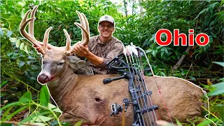 HEAVIEST WHITETAIL We’ve EVER Seen! (URBAN Ohio Bruiser!!)