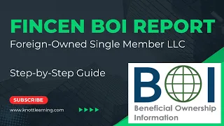 How to File BOI Report with FinCEN - Example for Single Member LLC