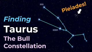 Taurus the Bull  - Constellation of the Zodiac