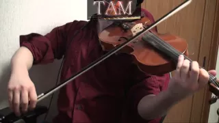Fate/Zero OP(TV ver) [oath sign / LiSA] Violin:TAM(TAMUSIC)