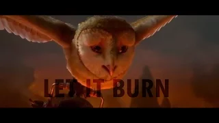 Let it burn [Guardians of Ga'Hoole]