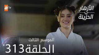 مسلسل الأزهار الحزينة | الحلقة 313 - الموسم الثالث