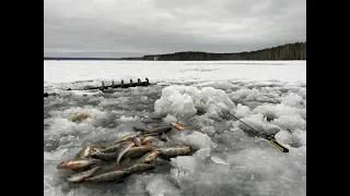 Первый лед 2019-2020.Второй выезд в Верховья Белоярки.