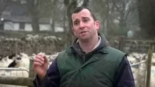 James Small, Red Tractor Lamb farmer