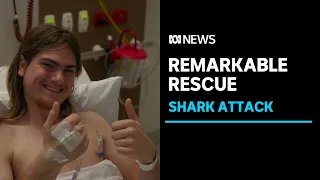 Best mate saves teen's life after shark attack off WA coast, near Albany | ABC News
