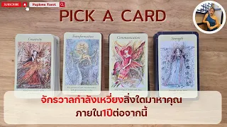 PICK A CARD ( EP 73) จักรวาลกำลังเหวี่ยงสิ่งใดมาหาคุณ ภายใน1ปีต่อจากนี้