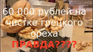 Новая бизнес идея по переработке Грецкого ореха: рассчет, окупаемость, оборудование!