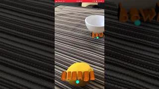CoreML + ARKit  — object detection in augmented reality