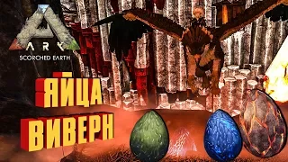 СОБИРАЕМ ЯЙЦА ВИВЕРН - ARK: SCORCHED EARTH