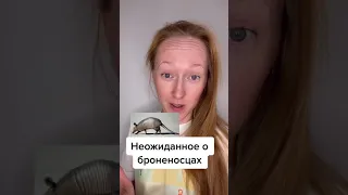 Неожиданные факты о броненосцах