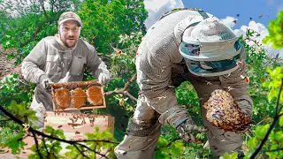 We Rescued the Hive after a Massive Storm