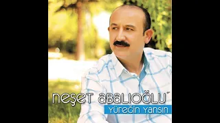 Neşet Abalıoğlu Alıngan Yıllar