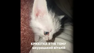 крихітка з тік току