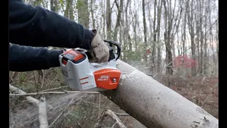 #605 How Many Batteries to Cut one Load of Firewood? Stihl MSA 161T Chainsaw