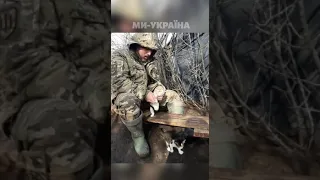 😼 Бойові коти ЗСУ проходя ь підготовку на передовій