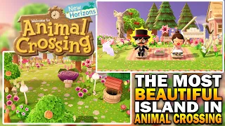 The Most Beautiful 5 -Star Island Tour In Animal Crossing New Horizons