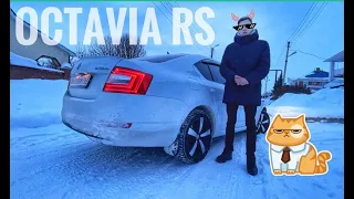 Сколько стоит сделать Octavia RS? Что с надёжностью?