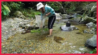 How to trap shrimp with grass, Catching grass shrimp in the mountain. Building farm, free life (ep6)