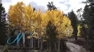 Brook trout fly fishing Boulder Mountain in Utah