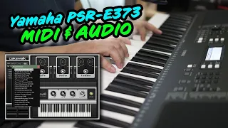 Yamaha PSR-E373 MIDI & Audio Song Record with Free DAW (Yamaha EZ300 / PSR-EW310)