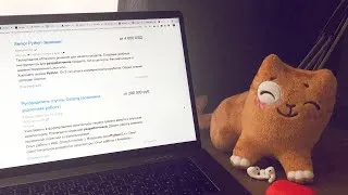 Собеседование Python программиста / Поиск работы в IT