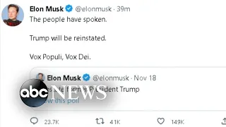 Elon Musk reactivates Trump’s Twitter account | ABCNL