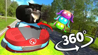 360° Maxwell The Cat 360° - VR Experience / VR Video 4K