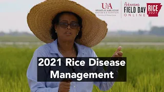 2021 Arkansas Rice Field Day: Integrated Disease Management