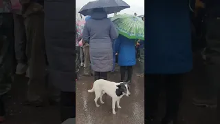 Радица Крыловка 02.04.23 паводок ( монолог с Орловым Сергеем Александровичем )