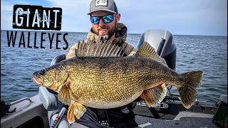 Casting for HUGE Walleyes in Super CLEAR Water!