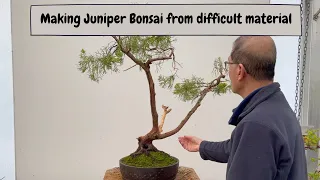 Making Juniper Bonsai from Difficult Material