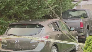 A look at the aftermath of tornadoes touching down in the DMV