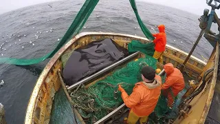 Seine netting aboard the Prevail