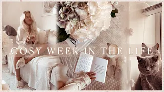 WEEK IN THE LIFE | home updates, beach sunsets, interior changes + life chats ✨