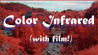 Shooting Color Infrared With film (for less than $100)