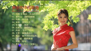 美丽的中国音乐 [ Beautiful Chinese music ] 祁隆 & 梅朵 - 永远的等你 | 崔伟立 - 酒醉的蝴蝶 | 雨露 - 桃花雨 | 雨露 - 桃花雨 | 刘紫玲 - 爱的代价