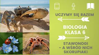 Biologia klasa 6. Stawonogi. Uczymy się razem