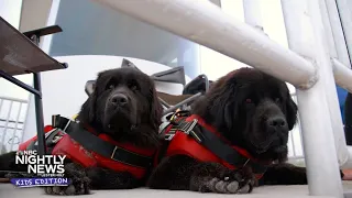 Beacon and Buoy are keeping swimmers safe during the dog days of summer | Nightly News: Kids Edition