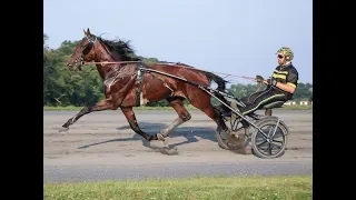 2019 Hambletonian Contenders -- Super Schissel