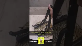 ستاند قيتار اوالعود عود الكهربائي ...جميل وخفيف شرح وتصوير M.B.O #ستاند_قيتار