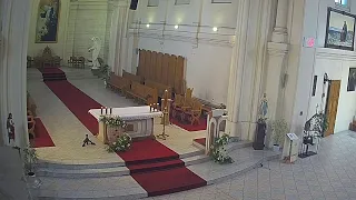 Трансляция из храма Успения Пресвятой Девы Марии (Санкт-Петербург, 1 Красноармейская, 11)