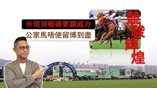 升班孭輕磅更顯威力｜公家馬唔使留博到盡｜競駿輝煌