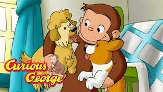 George the Dog-Sitter 🐵 Curious George 🐵 Kids Cartoon 🐵 Kids Movies