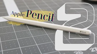 Đánh giá Apple Pencil 2: Cây bút tốt nhất dành cho iPad !!?