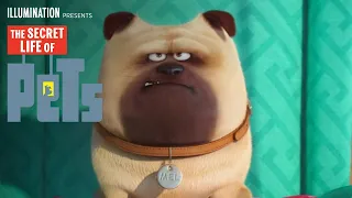 The Secret Life Of Pets | Meet Mel (HD) | Illumination