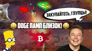 DOGECOIN ГОТОВИТСЯ СТАРТАНУТЬ НА 1$! УЗНАЙ ПЕРЕЧЬ ПРИЧИН ДЛЯ ЕГО РОСТА УЖЕ В 2021 ГОДУ! СКОРО ПАМП!