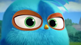 Angry Birds Blues   All Episodes Mashup   Special Compilation   trimmed