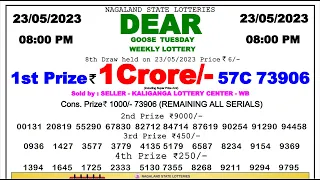 🔴 Lottery Sambad Live 08:00pm 23/05/2023 Evening Nagaland State Dear Lottery Result Pdf Download