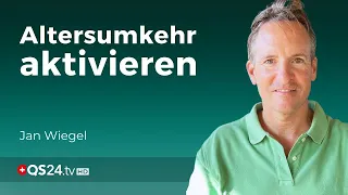 Stammzellen-Aktivierung: So verlängern Sie Ihre Telomere | Erfahrungsmedizin | QS24